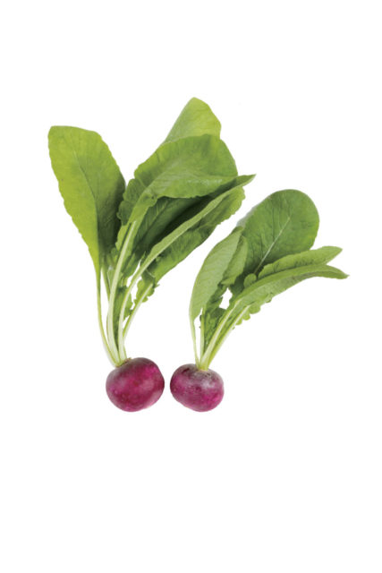 【徳島×産直市】新鮮な野菜や果物、徳島メイドの加工品がずらり「阿波食ミュージアム」