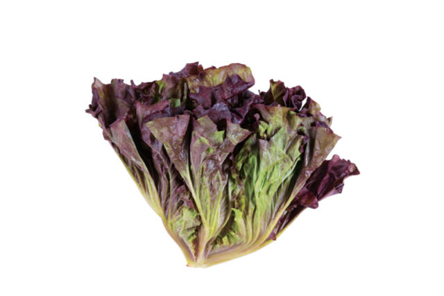 【徳島×産直市】新鮮な野菜や果物、徳島メイドの加工品がずらり「阿波食ミュージアム」