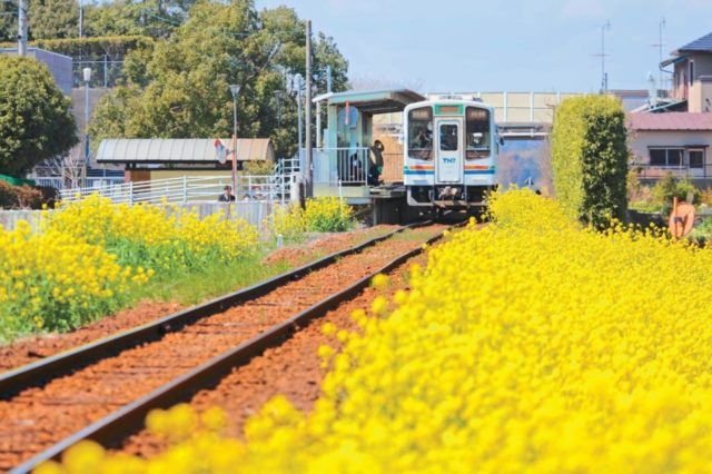 【天浜線×沿線&駅舎巡り】掛川市役所前