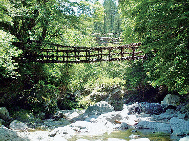 奥祖谷二重かずら橋