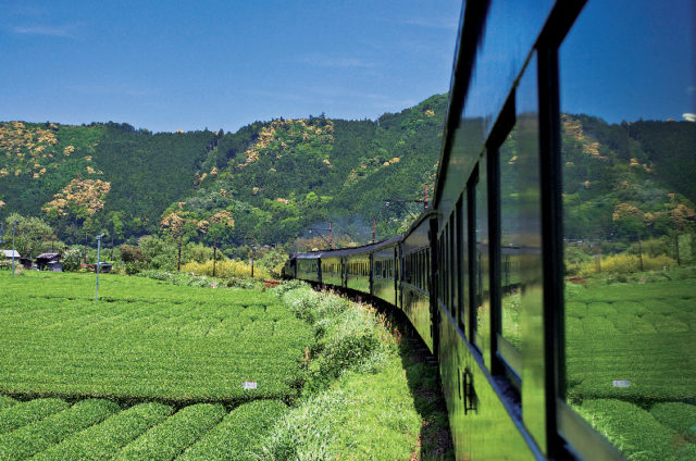 車窓からの眺めを満喫