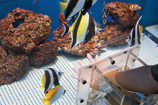 浜名湖体験学習施設ウォット