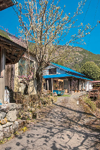 【オクシズ×立ち寄りスポット】満緑カフェ&ショップ