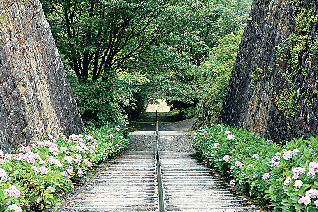 【マイントピア別子・東平ゾーン】インクライン跡