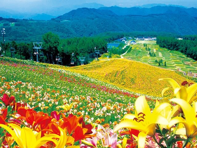 ハンターマウンテンゆりパーク