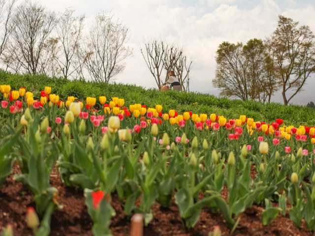 那須フラワーワールド