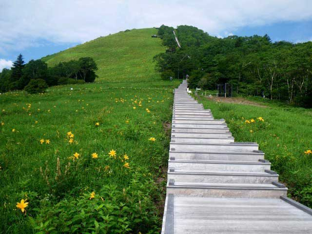 霧降高原キスゲ平園地