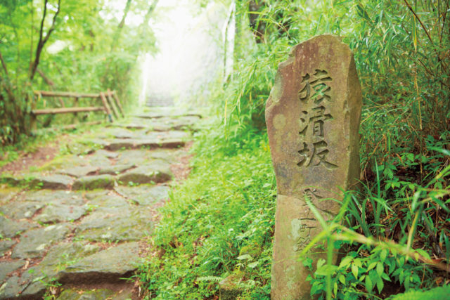 箱根観光ポイント8 箱根旧街道で歴史ウォーク