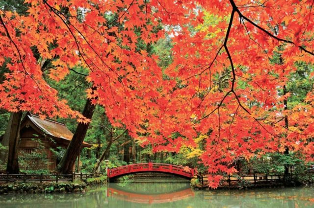 遠江国一宮 小國神社