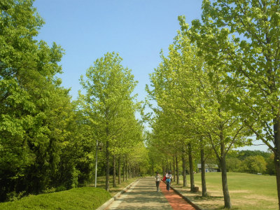 兵庫県立三木山森林公園