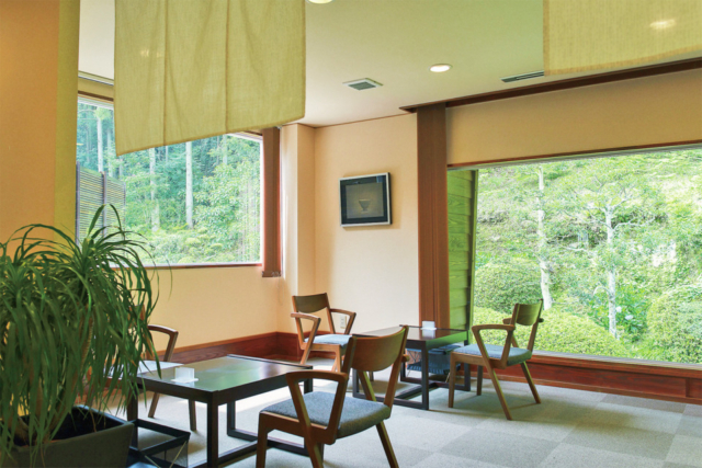 【静岡×お茶スイーツ】日本茶 きみくら