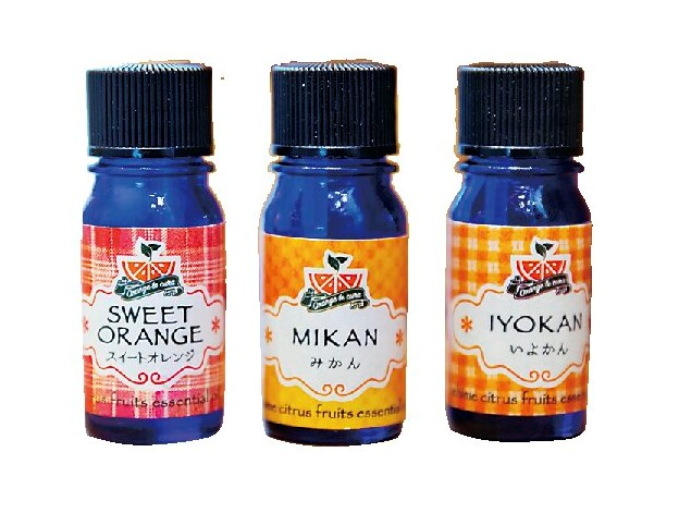 【道後温泉のお土産】十五万石 MASARU