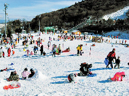 【香嵐渓&茶臼山×高原ドライブ3】レジャー満載の高原リゾート「茶臼山高原」