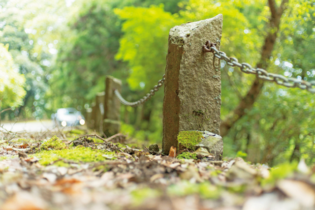 伊豆の天城越えドライブモデルプラン「旧天城トンネル」