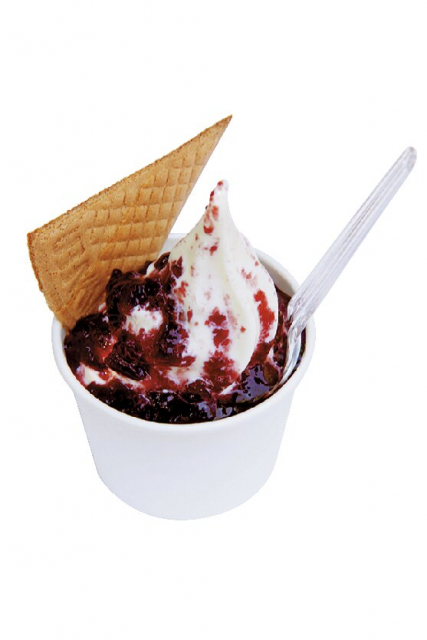 平泉寺の ソフトクリーム屋さんで一休み