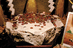 【敦賀×パワースポット】神聖なパワーで悪霊退散!「晴明神社」