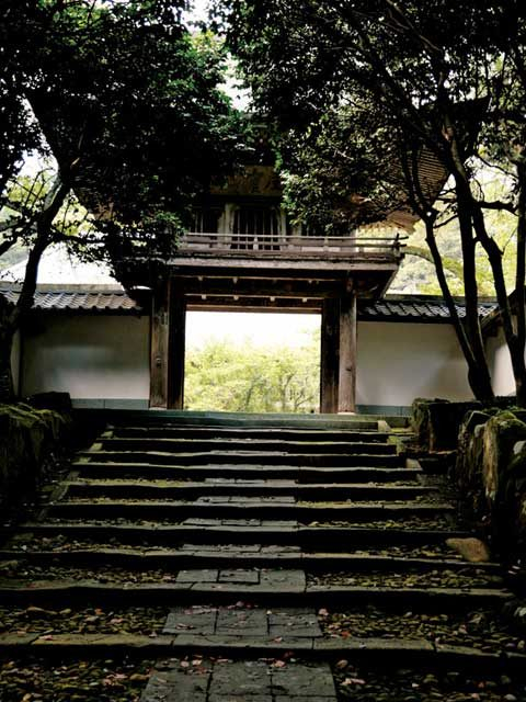 【三国湊の観光スポット】瀧谷寺