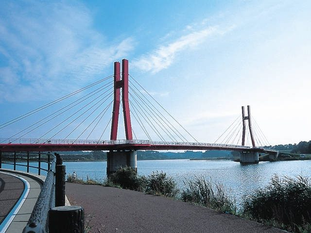 東尋坊・三国おすすめの観光スポット 北潟湖