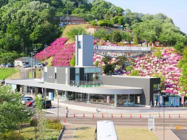 道の駅 西山公園
