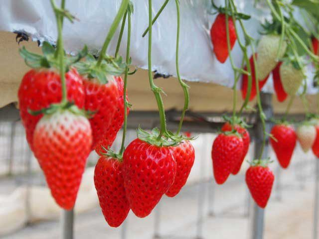 たかぎ農村交流研修センター(長野県)