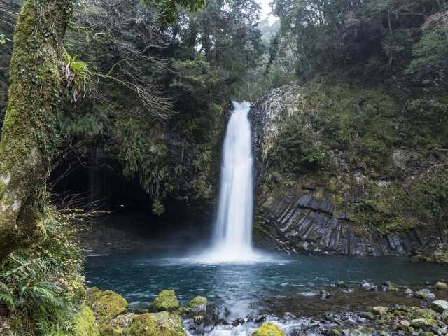 伊豆の天城越えドライブモデルプラン③浄蓮の滝