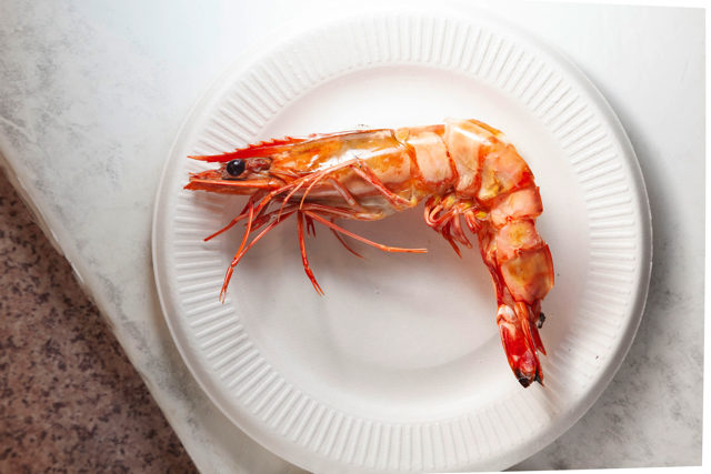 【熱海駅周辺×テイクアウトグルメ】魚とや