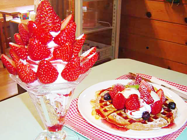 ストロベリーフィールド(静岡県)