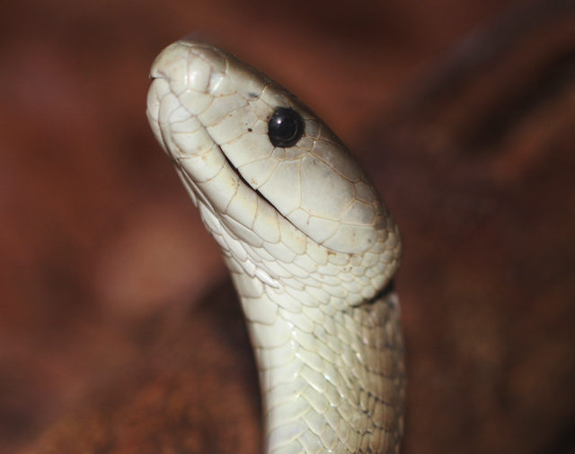 こんなにNo.1がいるよ〜!