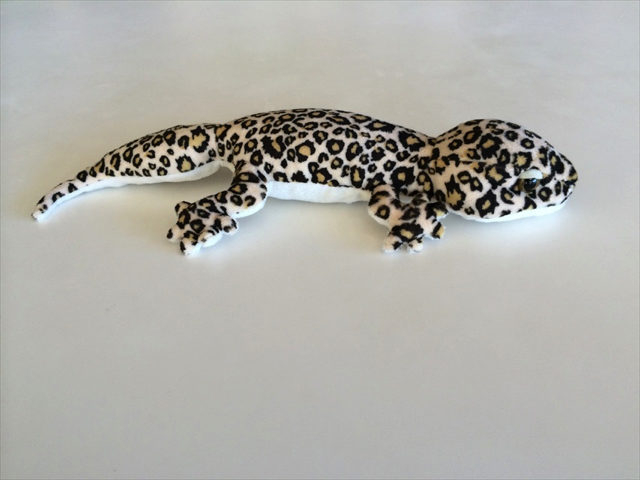 おみやげでびっくり!