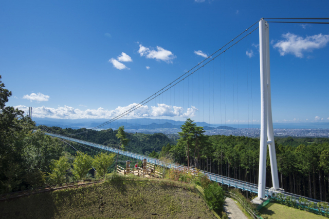 【三島スカイウォーク】フォレストアドベンチャーを体験せよ!