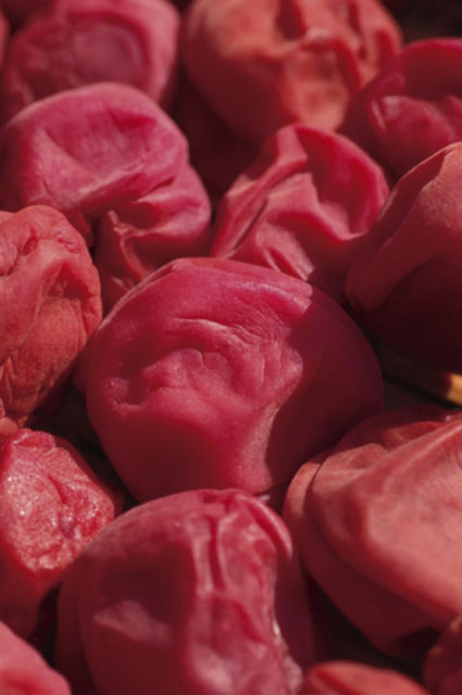 【ランチはココで!】桧茶屋