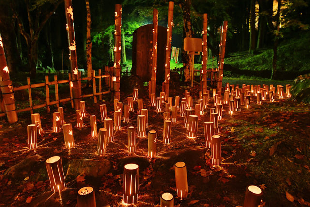 【香嵐渓の紅葉ナビ】ライトアップ情報