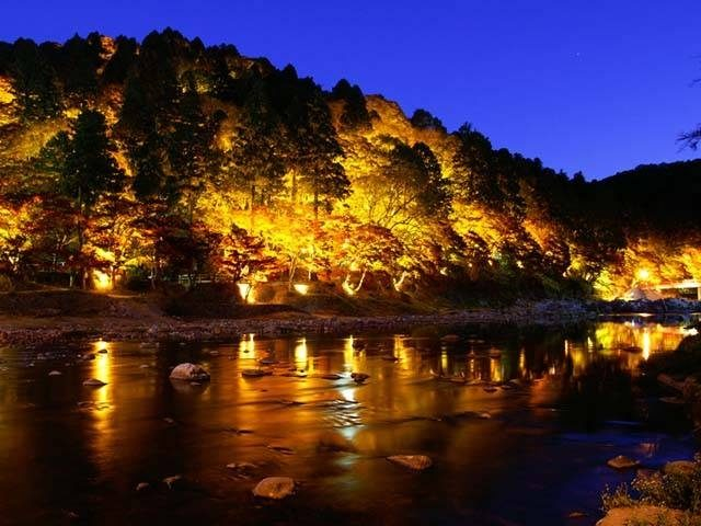 【香嵐渓の紅葉ナビ】ライトアップ情報