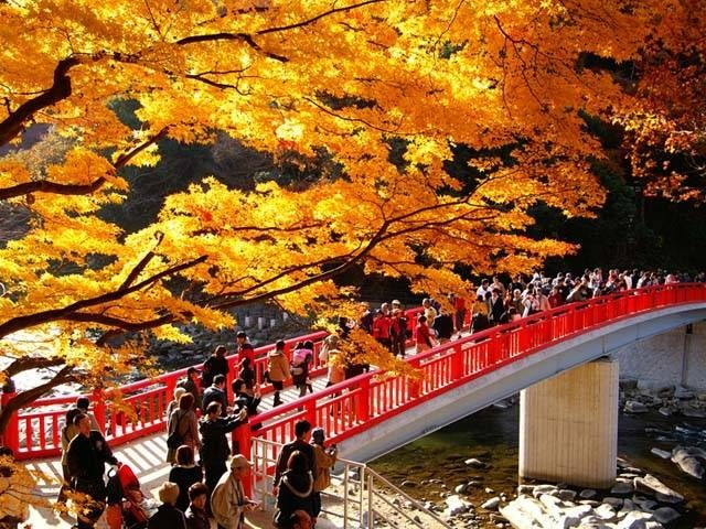 【香嵐渓&茶臼山×高原ドライブ1】東海地方屈指の紅葉の名所「香嵐渓」