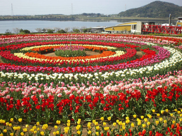 サンテパルクたはら