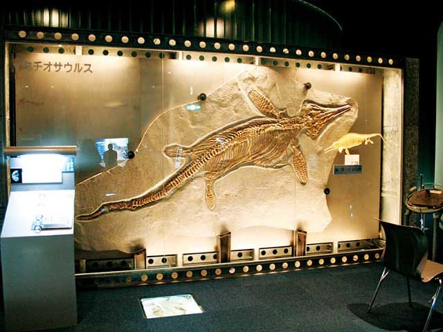 【愛知・蒲郡×観光】生命のふるさとである海の歴史を紹介「生命の海科学館」