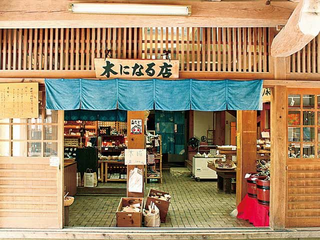 木になる店