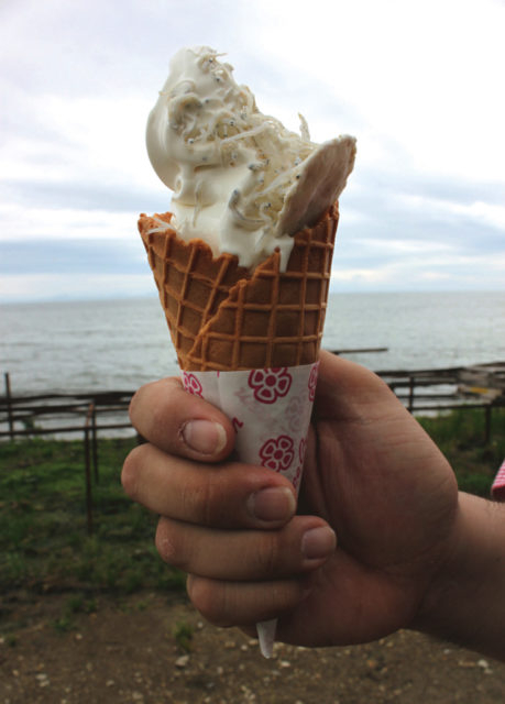 【南知多×ドライブ】ちりめんじゃこのファストフードが満載「ちりめん工房 ジャコデス」