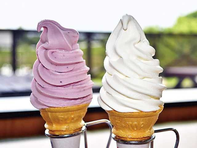 【Lunchはココで】レストハウスやはず