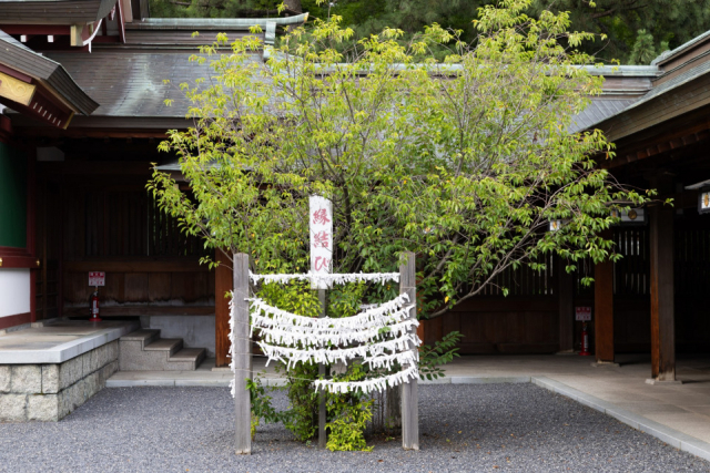 【敦賀×パワースポット】恋のパワースポット「氣比神宮」