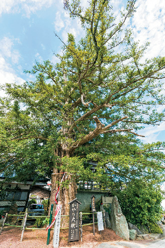 見どころ満載のお寺で心から元気になれる