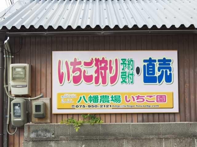 いちごハウス・ブリティッシュガーデン(京都府)