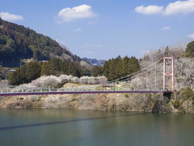 月ヶ瀬梅渓(奈良県)