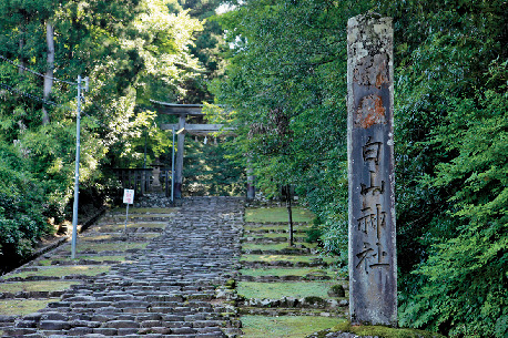 【東尋坊×観光】東尋坊の名前のヒミツ