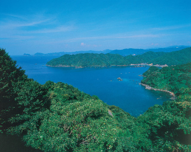 エンゼルライン