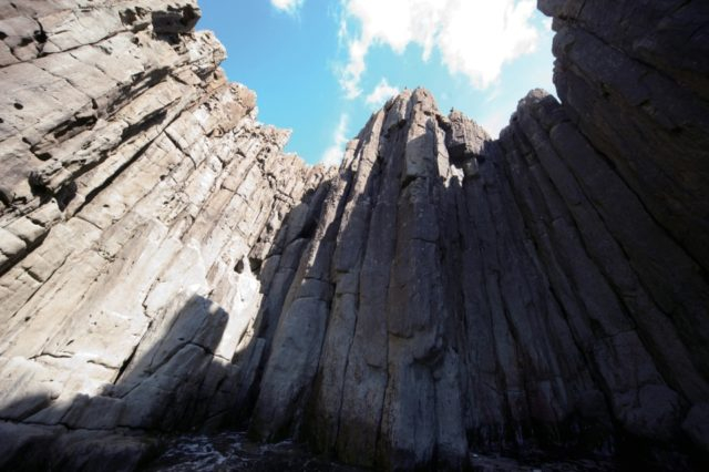 【東尋坊×観光】クルージングのここに注目!