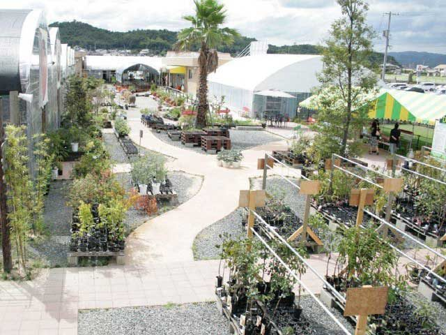 農マル園芸 吉備路農園(岡山県)