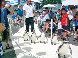 越前松島水族館の館内をご案内