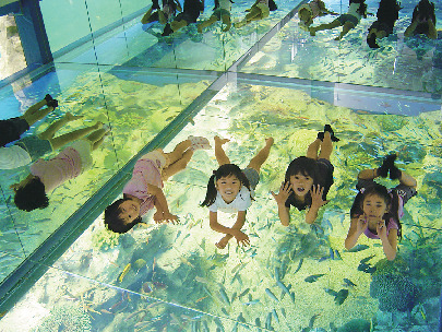 生き物とのふれあいポイントがいっぱい!