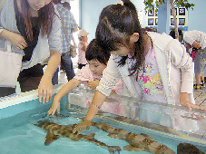 生き物とのふれあいポイントがいっぱい!